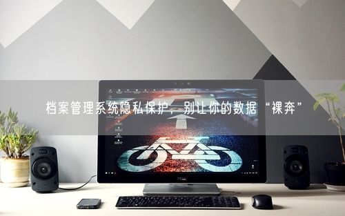 档案管理系统隐私保护，别让你的数据“裸奔”