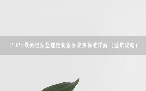 2025最新档案整理定制服务收费标准详解（避坑攻略）