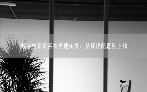 数字档案馆系统搭建实操：从环境配置到上线