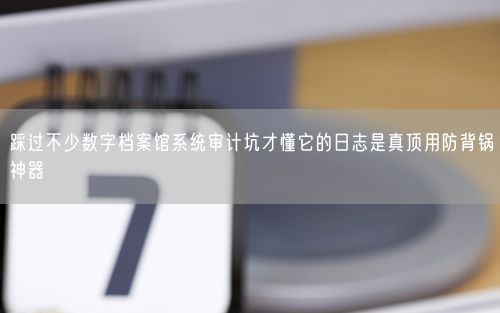 踩过不少数字档案馆系统审计坑才懂它的日志是真顶用防背锅神器