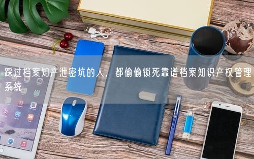 踩过档案知产泄密坑的人,都偷偷锁死靠谱档案知识产权管理系统