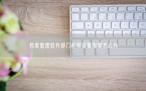档案管理软件部门权限设置困难怎么办