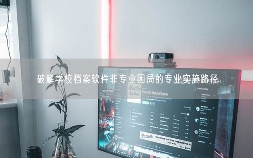 破解学校档案软件非专业困局的专业实施路径