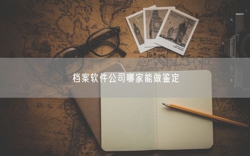 档案软件公司哪家能做鉴定