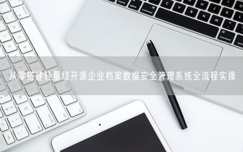 从零搭建轻量级开源企业档案数据安全管理系统全流程实操
