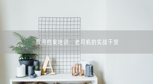双河档案培训：老司机的实战干货