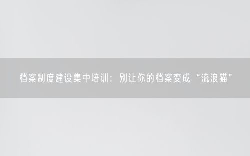档案制度建设集中培训:别让你的档案变成“流浪猫”