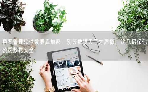 档案管理软件数据库加密:别等数据丢了才后悔,这几招保你公司数据安全