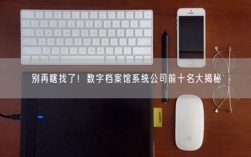 别再瞎找了!数字档案馆系统公司前十名大揭秘