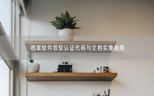 档案软件双软认证代码与文档实操指南