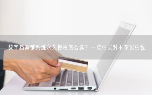 数字档案馆系统永久授权怎么选？一次性买对不花冤枉钱