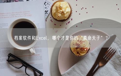档案软件和Excel，哪个才是你的“真命天子”？