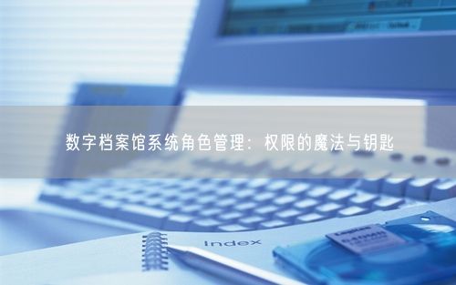 数字档案馆系统角色管理：权限的魔法与钥匙