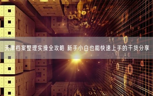 天津档案整理实操全攻略 新手小白也能快速上手的干货分享