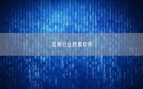 咨询行业档案软件