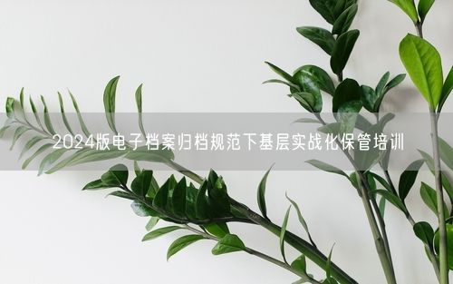 2024版电子档案归档规范下基层实战化保管培训