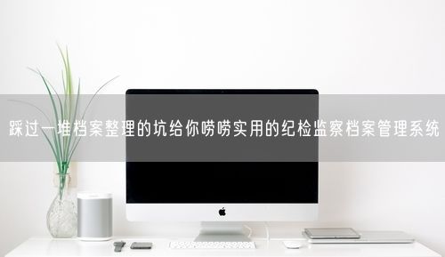 踩过一堆档案整理的坑给你唠唠实用的纪检监察档案管理系统