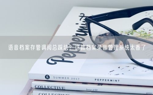 语音档案存管调阅总踩坑？这款档案录音管理系统太香了