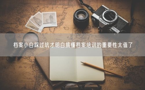 档案小白踩过坑才明白搞懂档案培训的重要性太值了