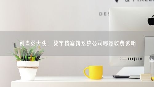 别当冤大头!数字档案馆系统公司哪家收费透明