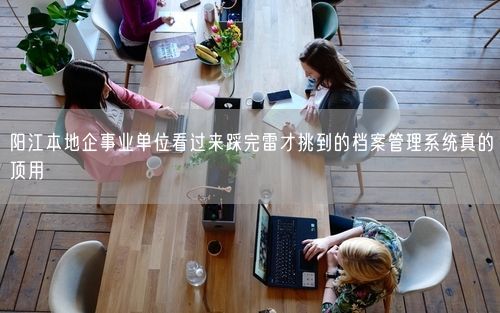 阳江本地企事业单位看过来踩完雷才挑到的档案管理系统真的顶用