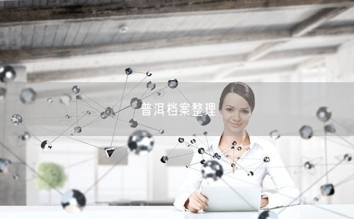 普洱档案整理
