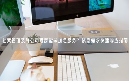 档案管理系统公司哪家能做加急服务?紧急需求快速响应指南