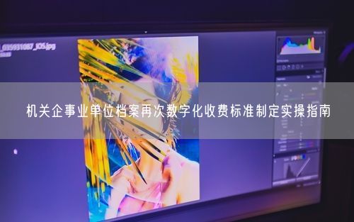 机关企事业单位档案再次数字化收费标准制定实操指南