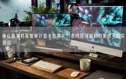单位数字档案馆审计总卡追溯关?老内容行家和档案搭子的实用招