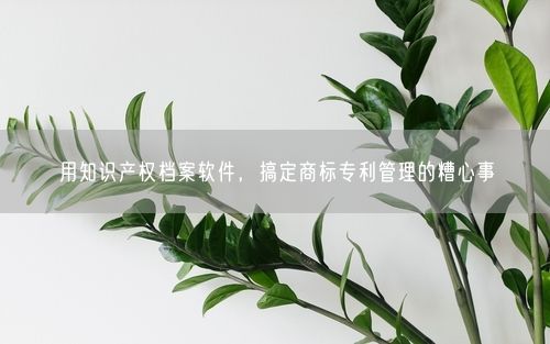 用知识产权档案软件,搞定商标专利管理的糟心事
