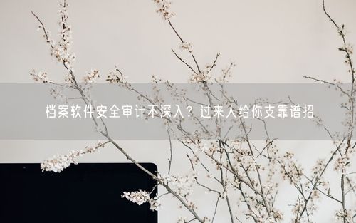 档案软件安全审计不深入?过来人给你支靠谱招