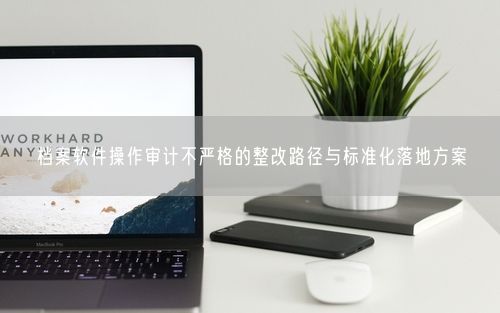 档案软件操作审计不严格的整改路径与标准化落地方案