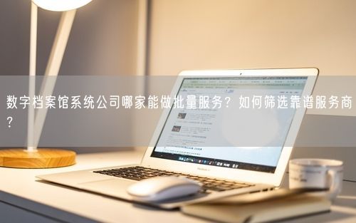 数字档案馆系统公司哪家能做批量服务?如何筛选靠谱服务商?