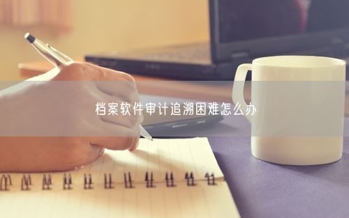 档案软件审计追溯困难怎么办