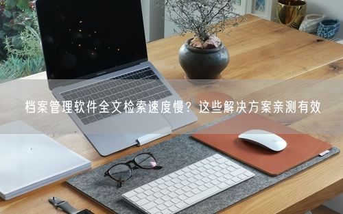档案管理软件全文检索速度慢?这些解决方案亲测有效