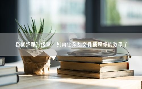 档案整理升级章:别再让杂乱文件拖垮你的效率了