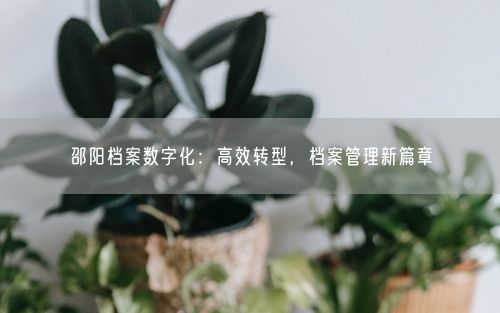 邵阳档案数字化：高效转型，档案管理新篇章