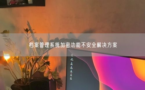 档案管理系统加密功能不安全解决方案