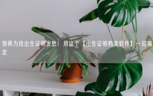 别再为找出生证明发愁!用这个【出生证明档案软件】一招搞定