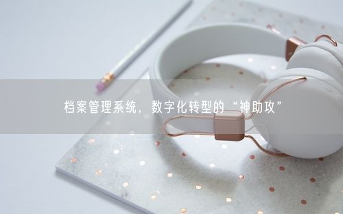 档案管理系统，数字化转型的“神助攻”