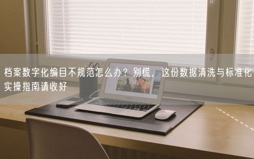 档案数字化编目不规范怎么办？别慌，这份数据清洗与标准化实操指南请收好