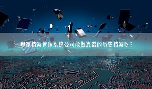 哪家档案管理系统公司能做靠谱的历史档案呀?