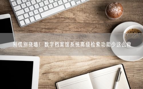 别慌别挠墙！数字档案馆系统高级检索功能少这么救
