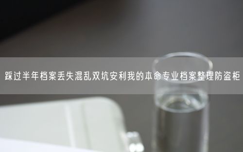 踩过半年档案丢失混乱双坑安利我的本命专业档案整理防盗柜