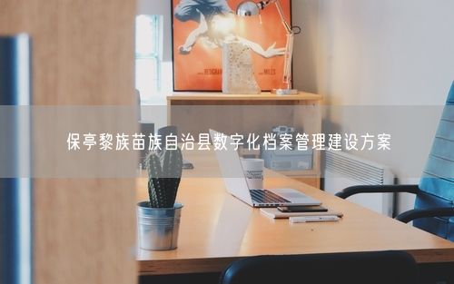 保亭黎族苗族自治县数字化档案管理建设方案