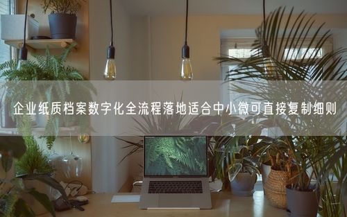 企业纸质档案数字化全流程落地适合中小微可直接复制细则