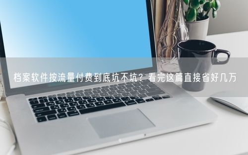 档案软件按流量付费到底坑不坑？看完这篇直接省好几万