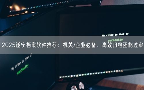 2025遂宁档案软件推荐：机关/企业必备，高效归档还能过审