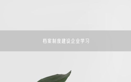档案制度建设企业学习