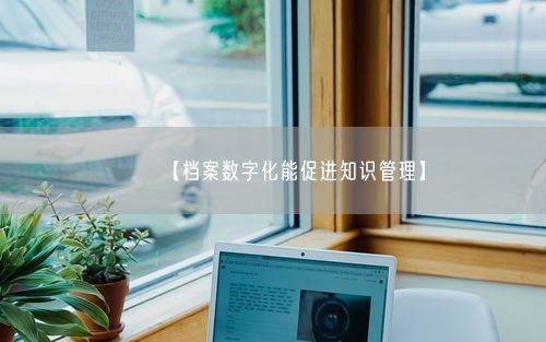 【档案数字化能促进知识管理】